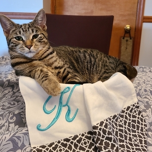 Fundraising Page: Jayne Keneston